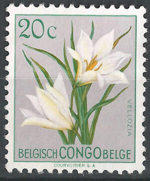 Congo-stamp-297-g1_ml.jpg