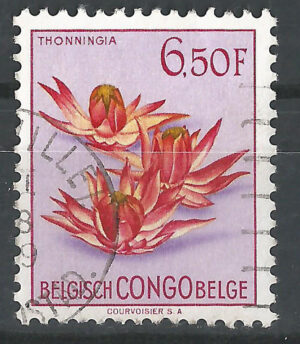 Congo-stamp-310-g1_ml.jpg