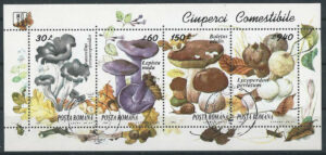 Romina-Block-292.-stamps_ml.jpg